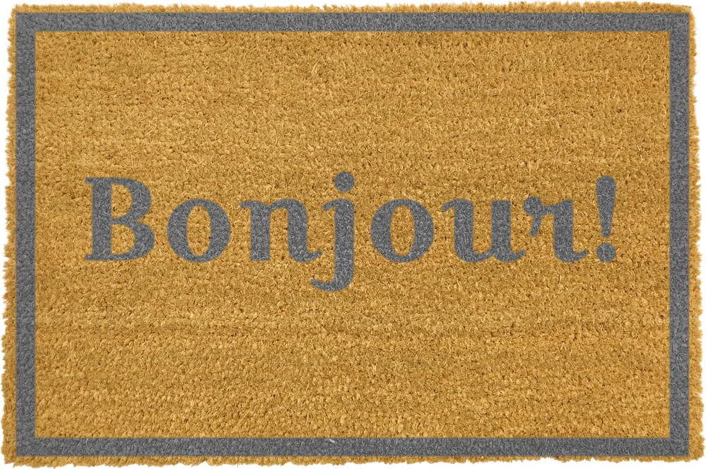 Rohožka z přírodního kokosového vlákna Artsy Doormats Bonjour Grey