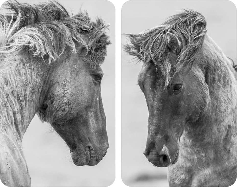 Sada 2 šedých krytů na sporák Wenko Horses