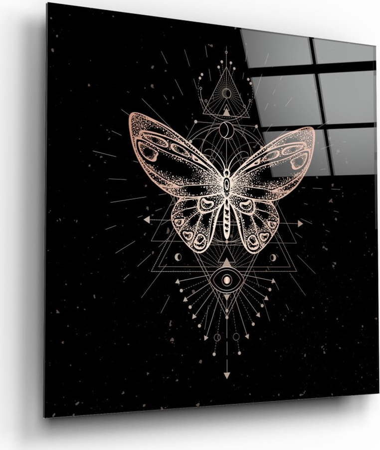 Skleněný obraz Insigne Da Vinci Style Butterfly