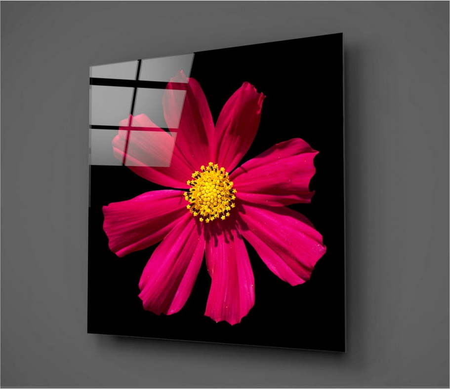 Černo-červený skleněný obraz Insigne Flowerina