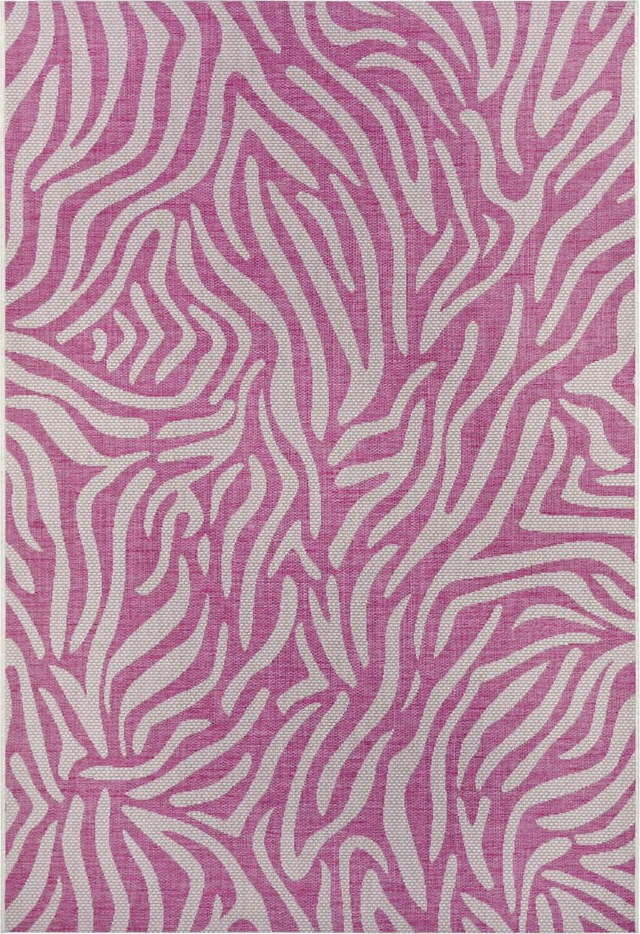 Růžovo-béžový venkovní koberec NORTHRUGS Cebra