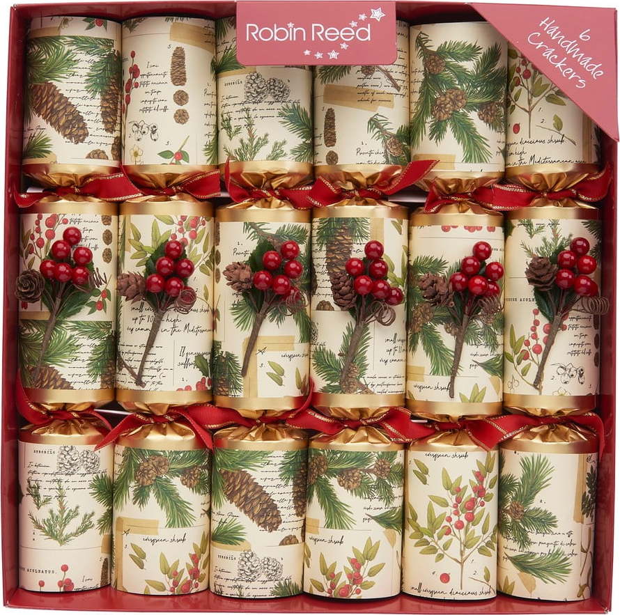 Vánoční crackery v sadě 6 ks Evergreen - Robin Reed Robin Reed