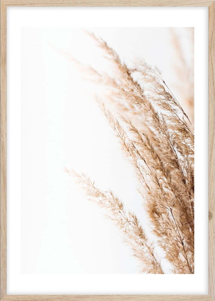 Plakát v rámu 50x70 cm Beige II – Styler Styler