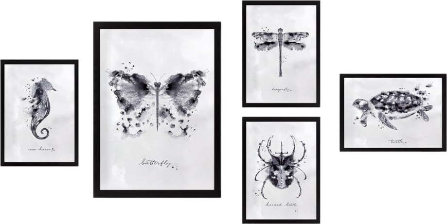 Obrazy v sadě 5 ks Butterfly – Wallity Wallity