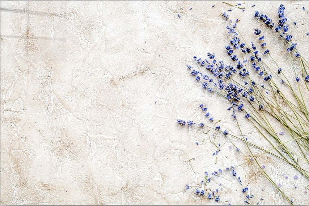 Skleněný obraz 70x50 cm Lavender – Wallity Wallity