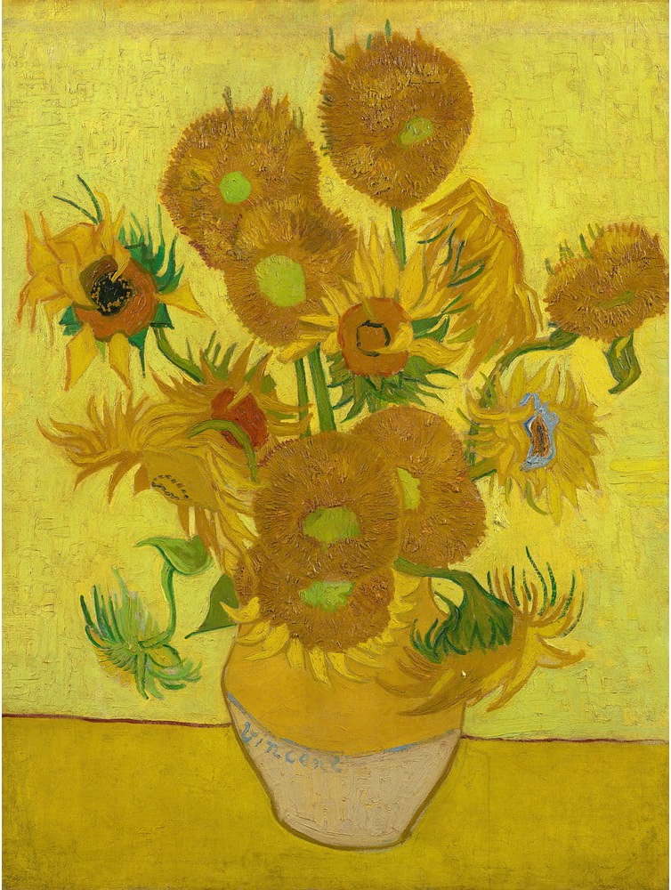 Obraz - reprodukce 30x40 cm Sunflowers