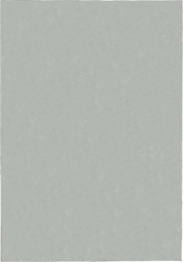Světle šedý koberec 80x150 cm – Flair Rugs Flair Rugs